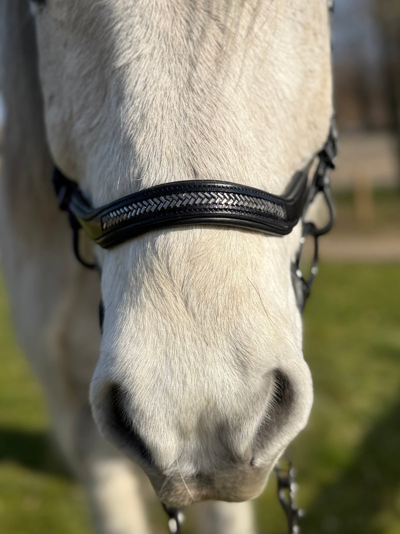 PH deluxe noseband English anatomical arrow dark grey