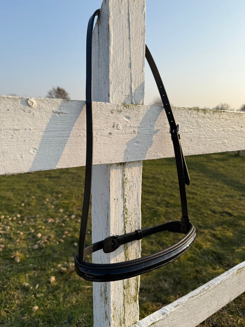 PH noseband English simple black shine