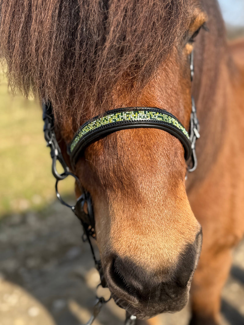 PH deluxe English noseband green magic