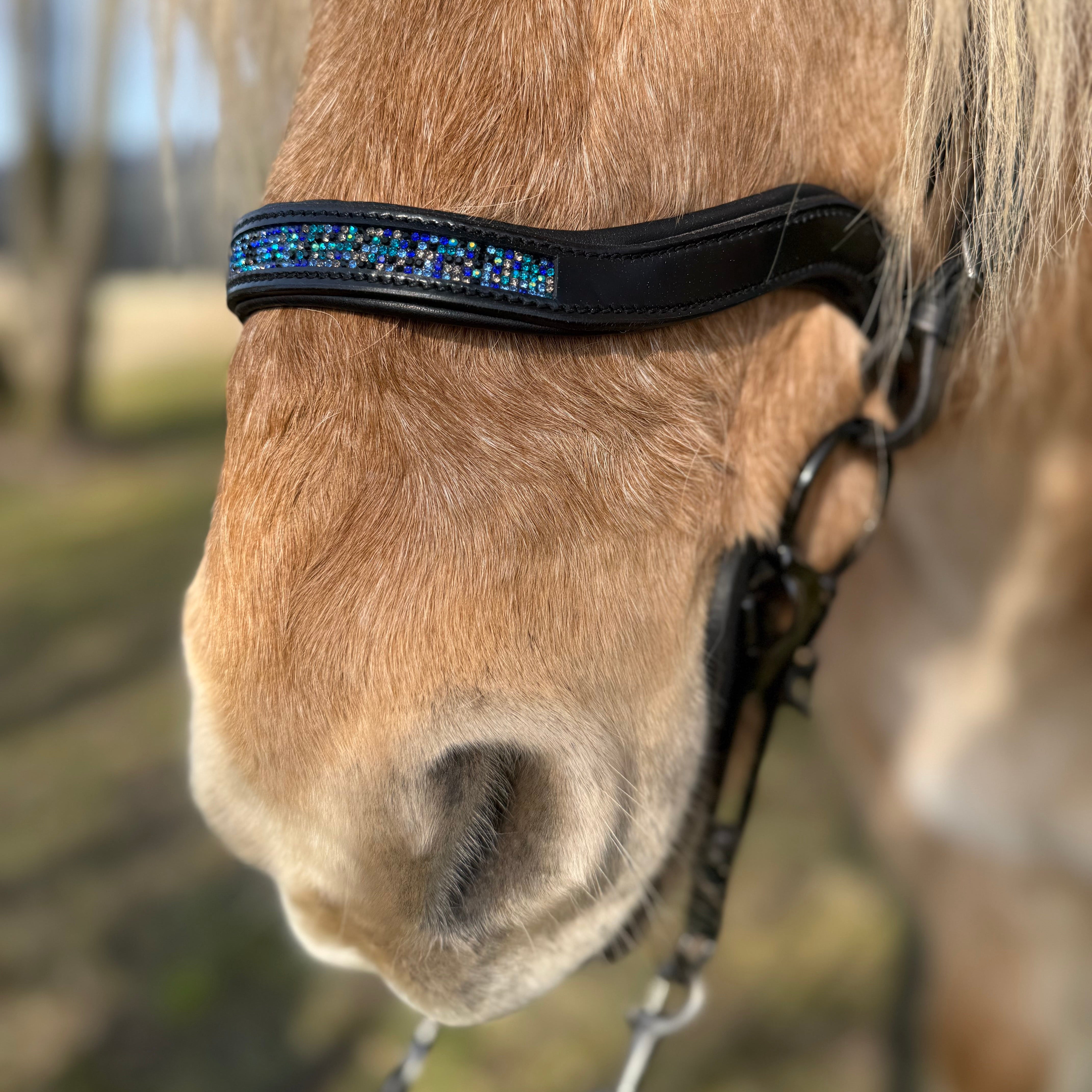 PH deluxe næserem engelsk anatomic blue magic - Aríus Icehorse Line