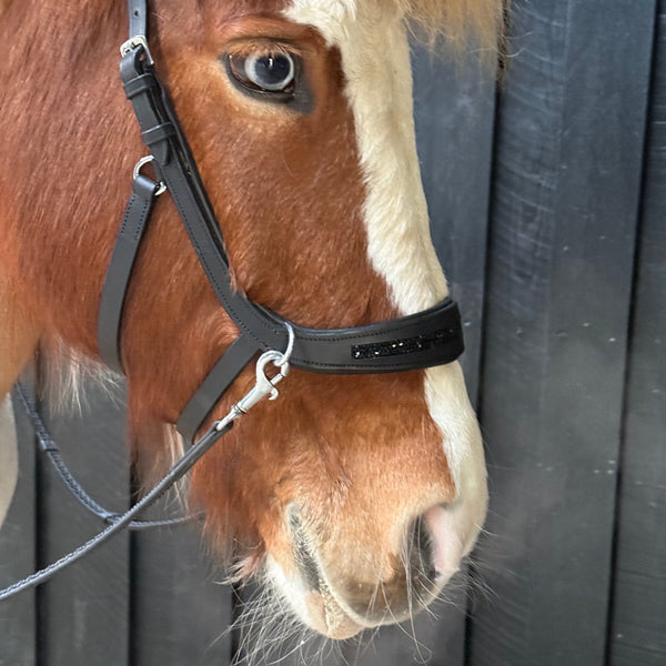 PH anatomical bitless bridle rock crystal black