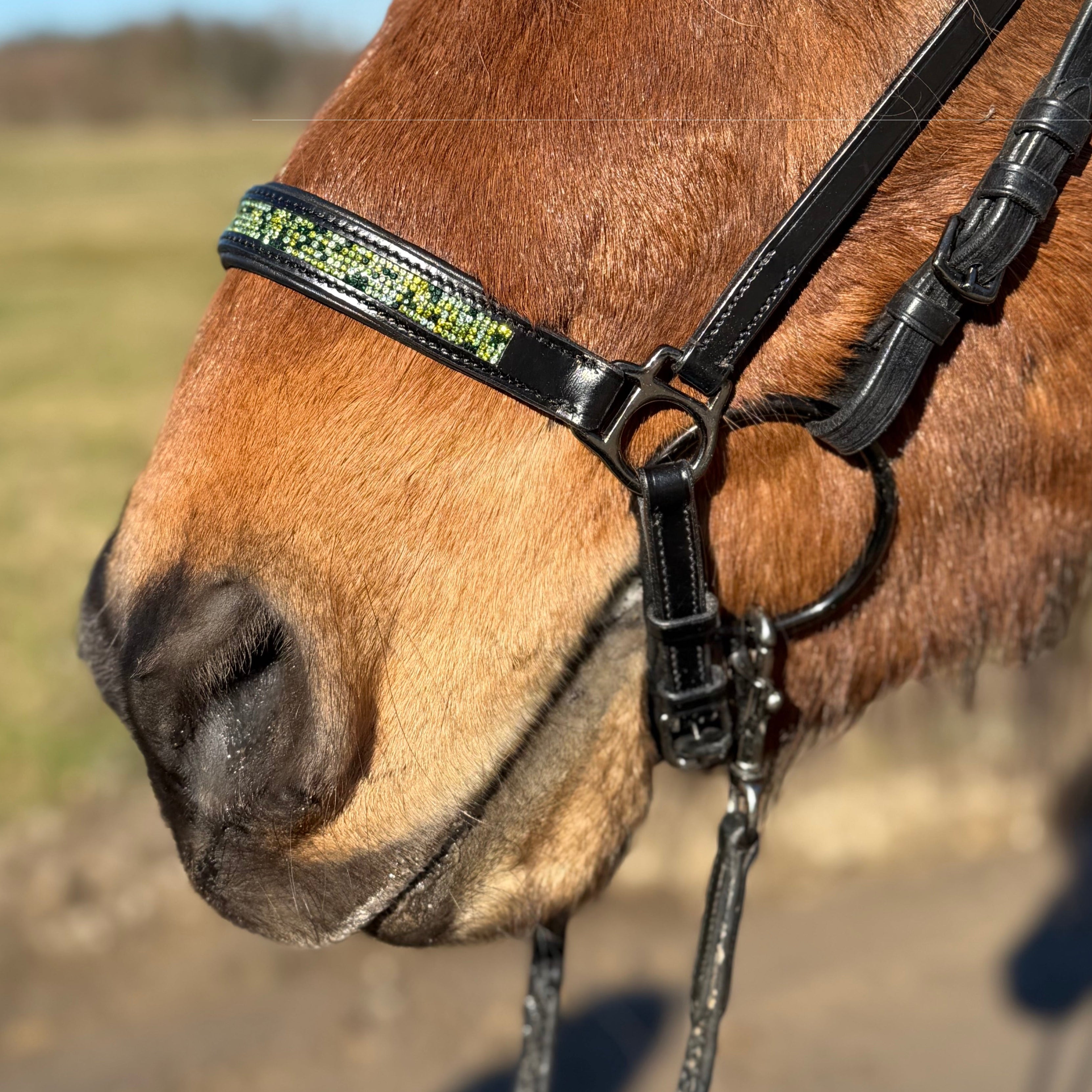 PH deluxe hannoveransk næserem green magic - Aríus Icehorse Line