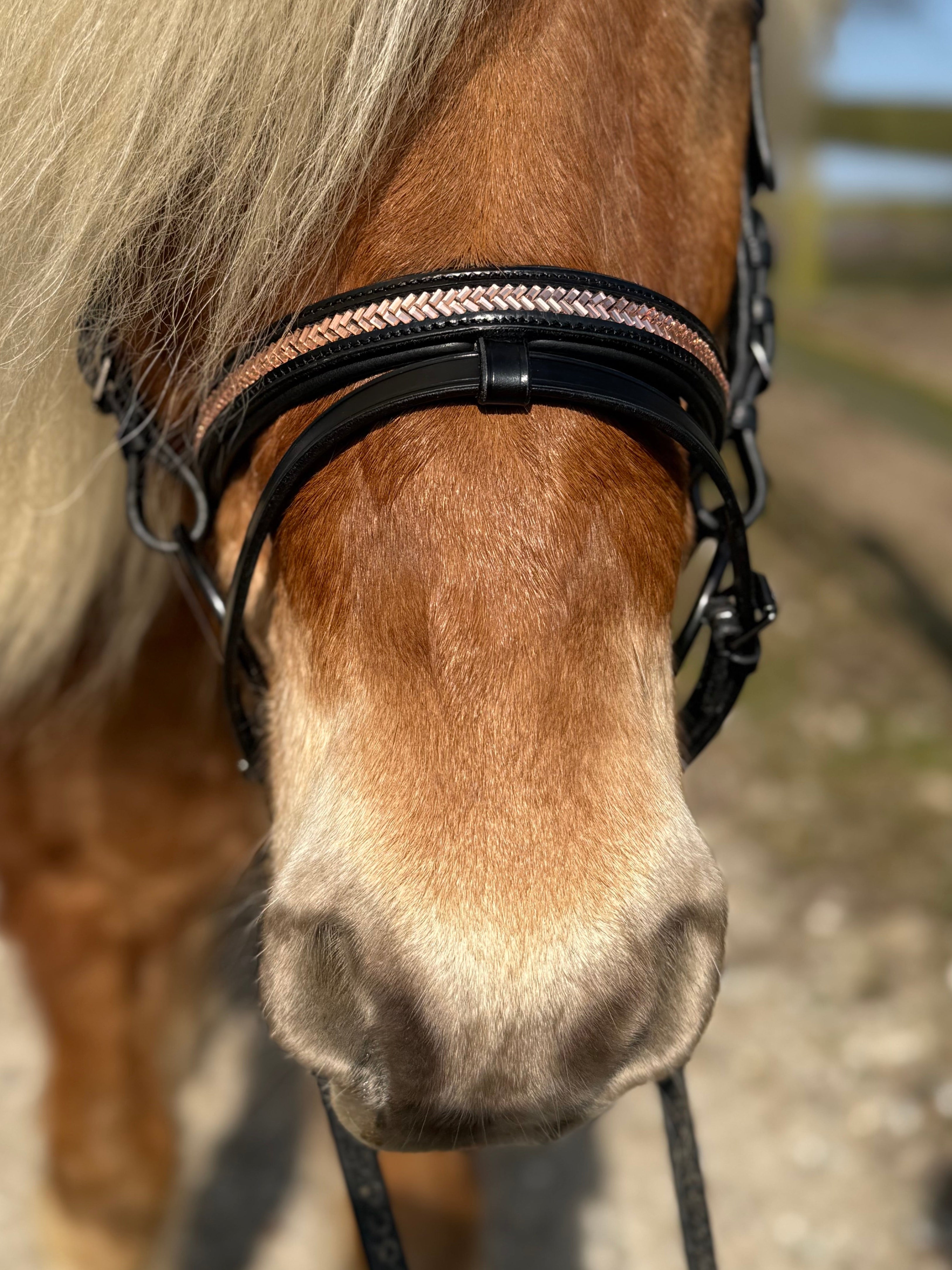PH deluxe kombineret næserem arrow rosegold - Aríus Icehorse Line