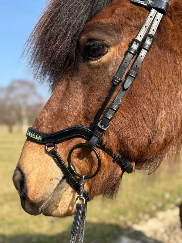 PH deluxe noseband "Anatomic" buckle green magic