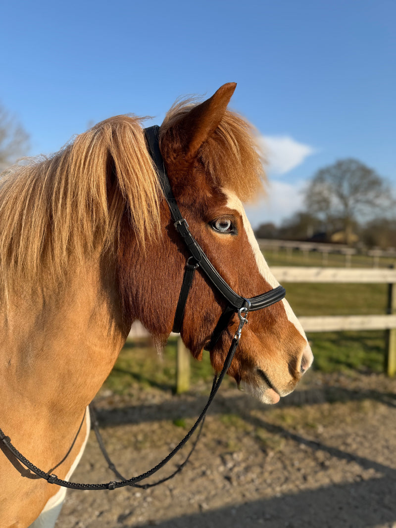 PH anatomical bitless bridle