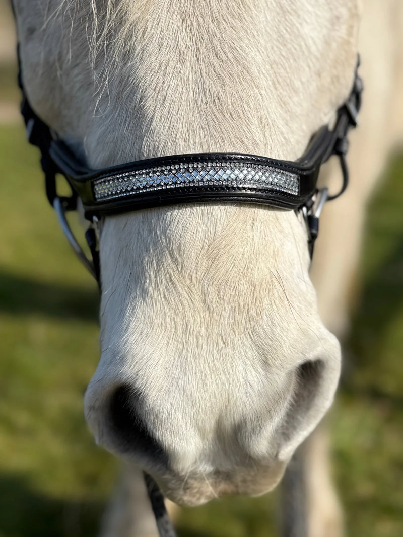 PH deluxe noseband "Anatomic" buckle glitter