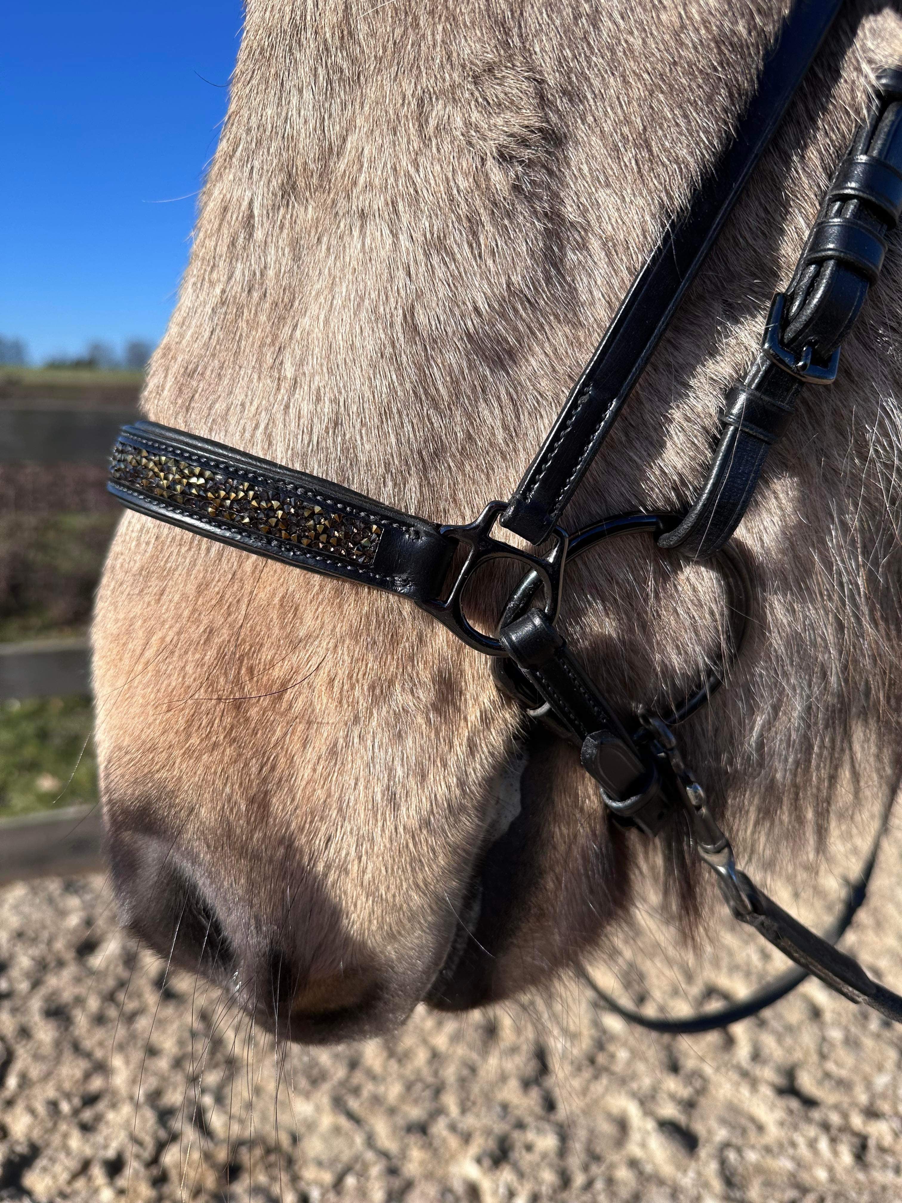 PH deluxe hannoveransk næserem rockcrystal gold - Aríus Icehorse Line