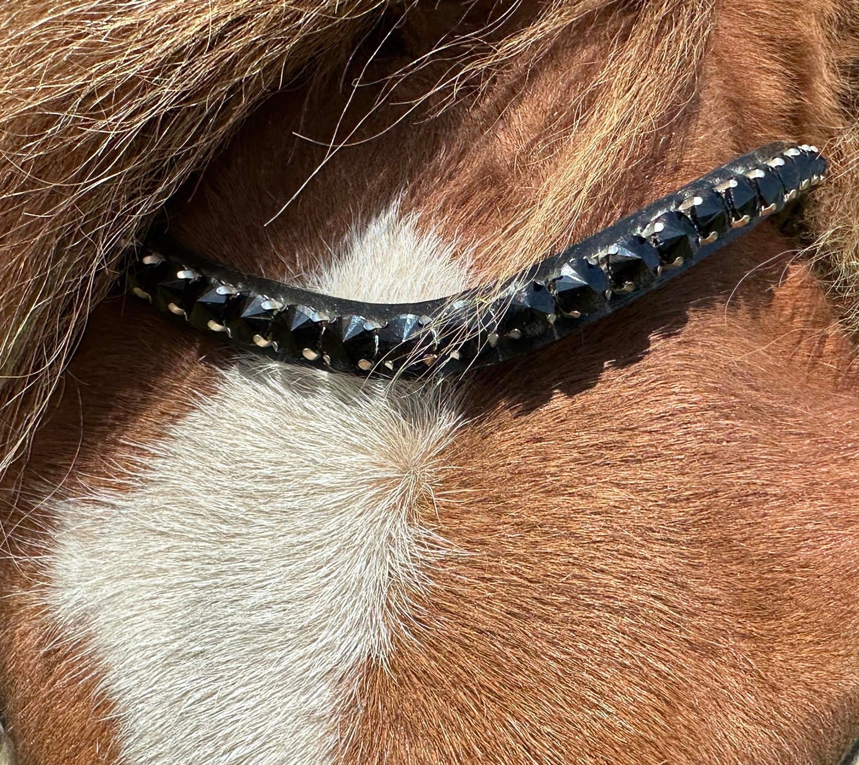 PH deluxe pandebånd “Big diamonds” black - Aríus Icehorse Line
