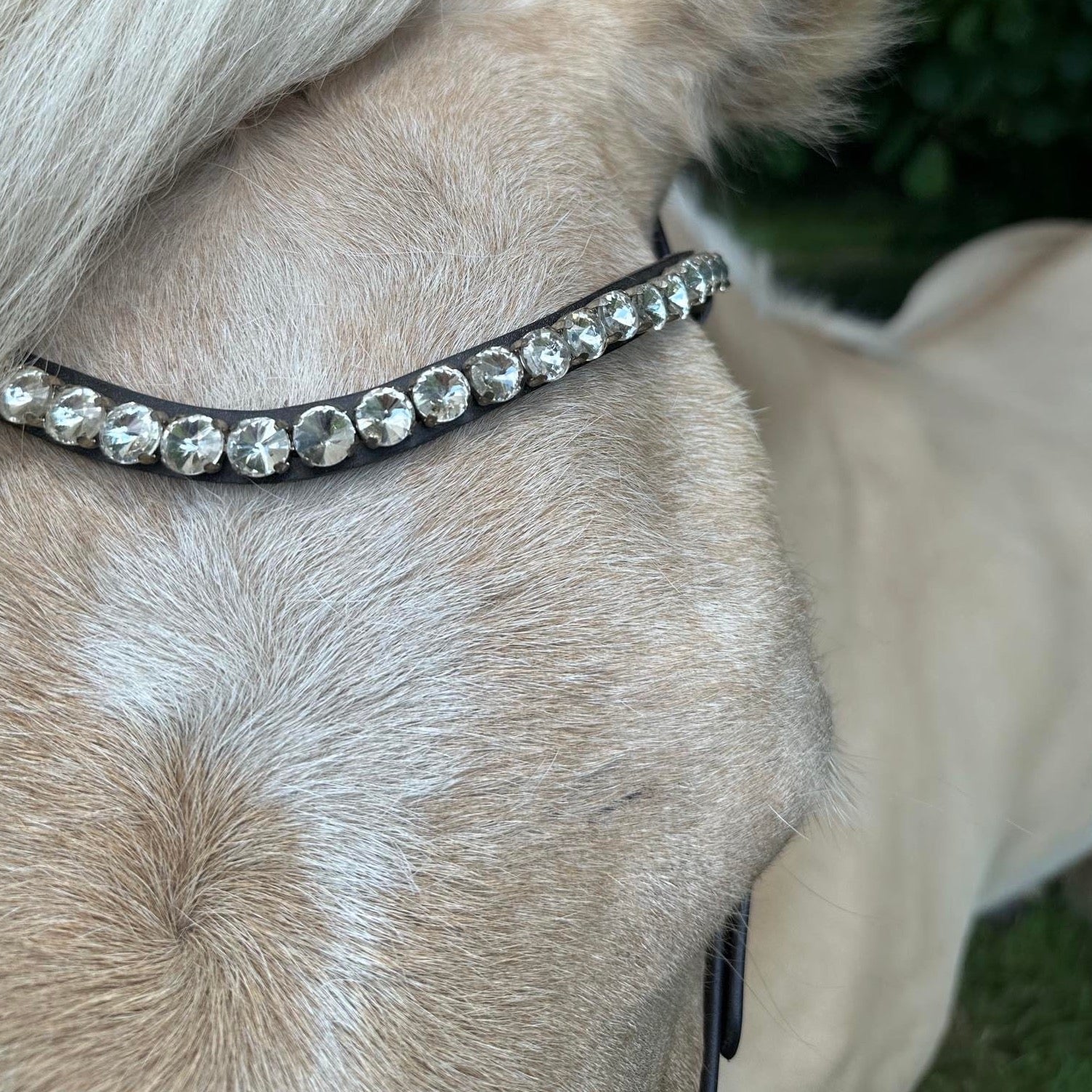 PH deluxe pandebånd “Big diamonds” white - Aríus Icehorse Line