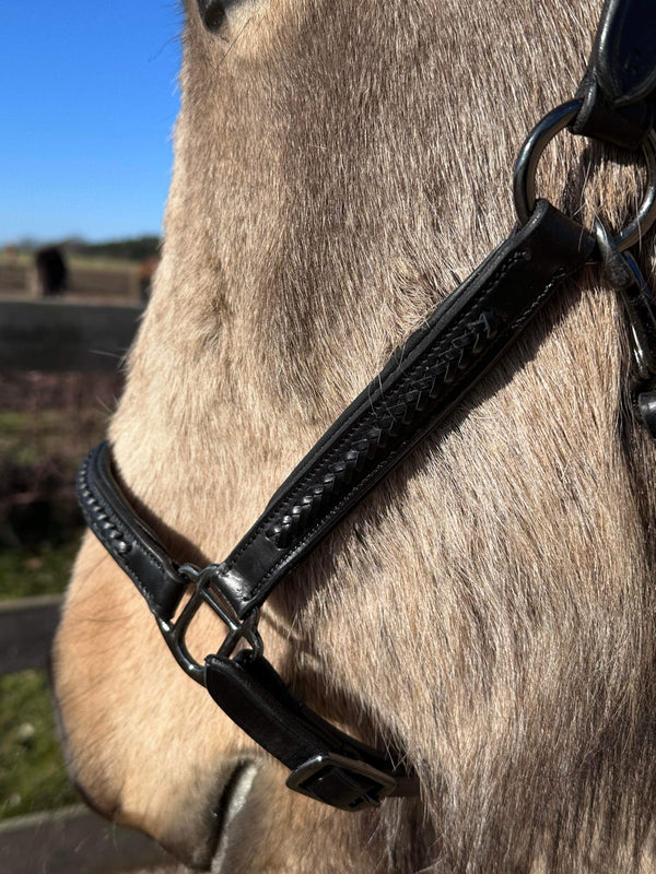 PH grime braid exclusive black - Aríus Icehorse Line