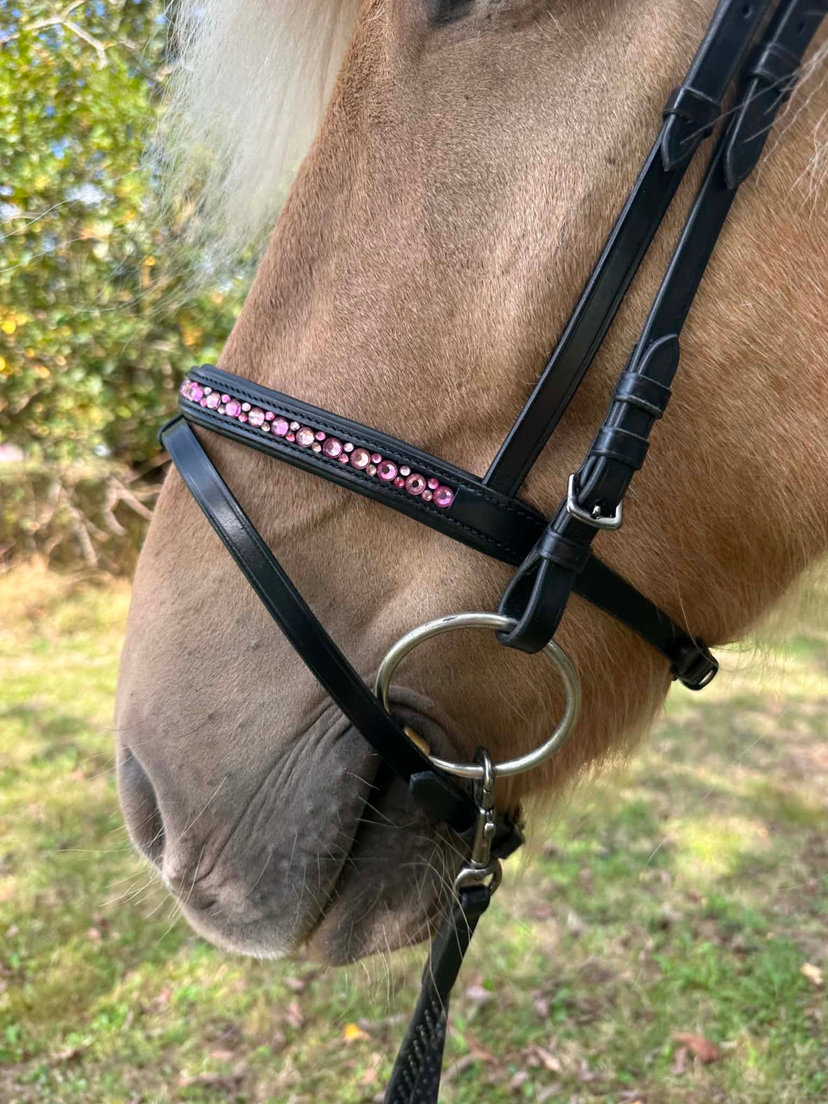 PH deluxe kombineret næserem moonstone pink