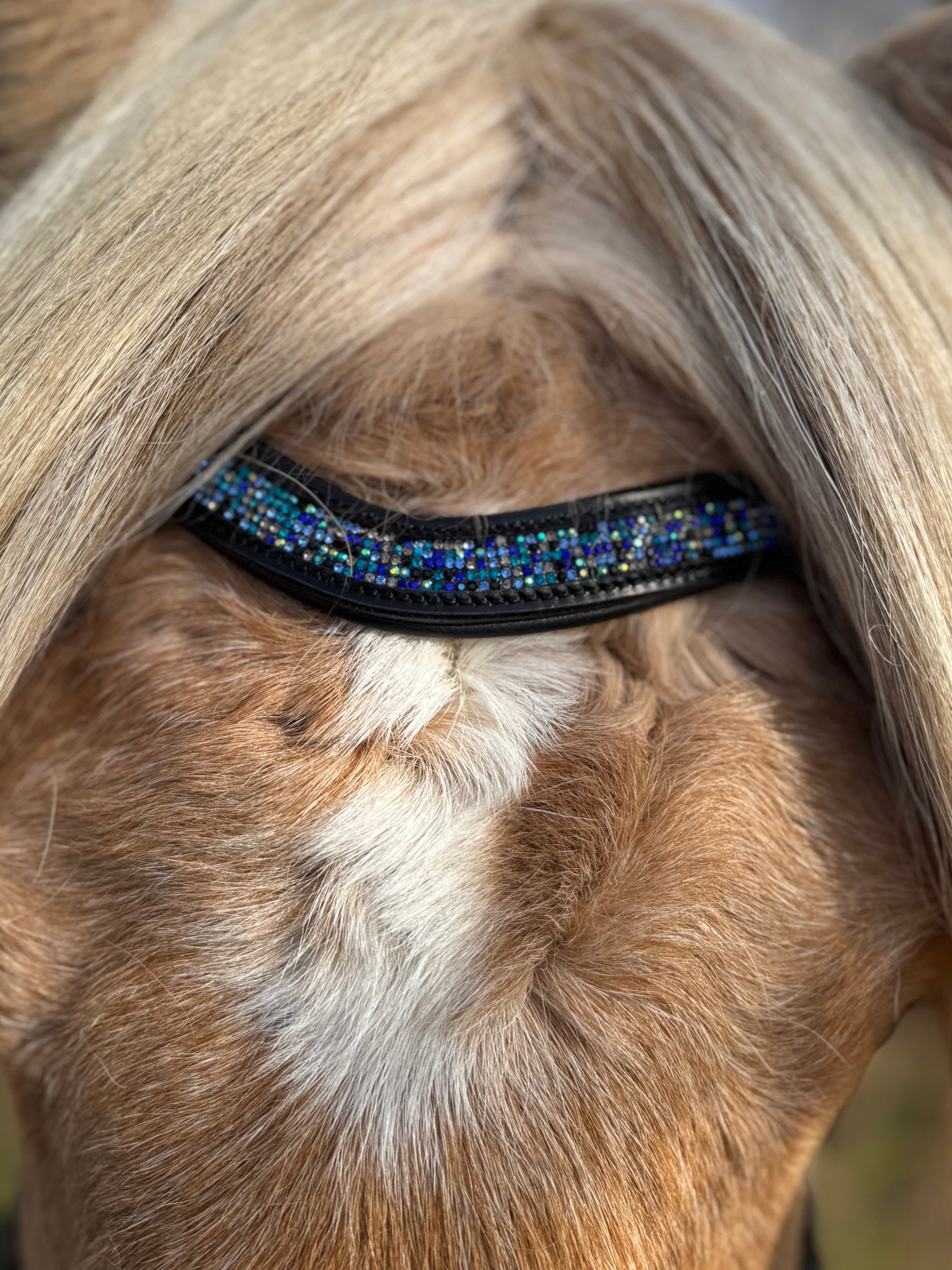 PH deluxe pandebånd blue magic - Aríus Icehorse Line