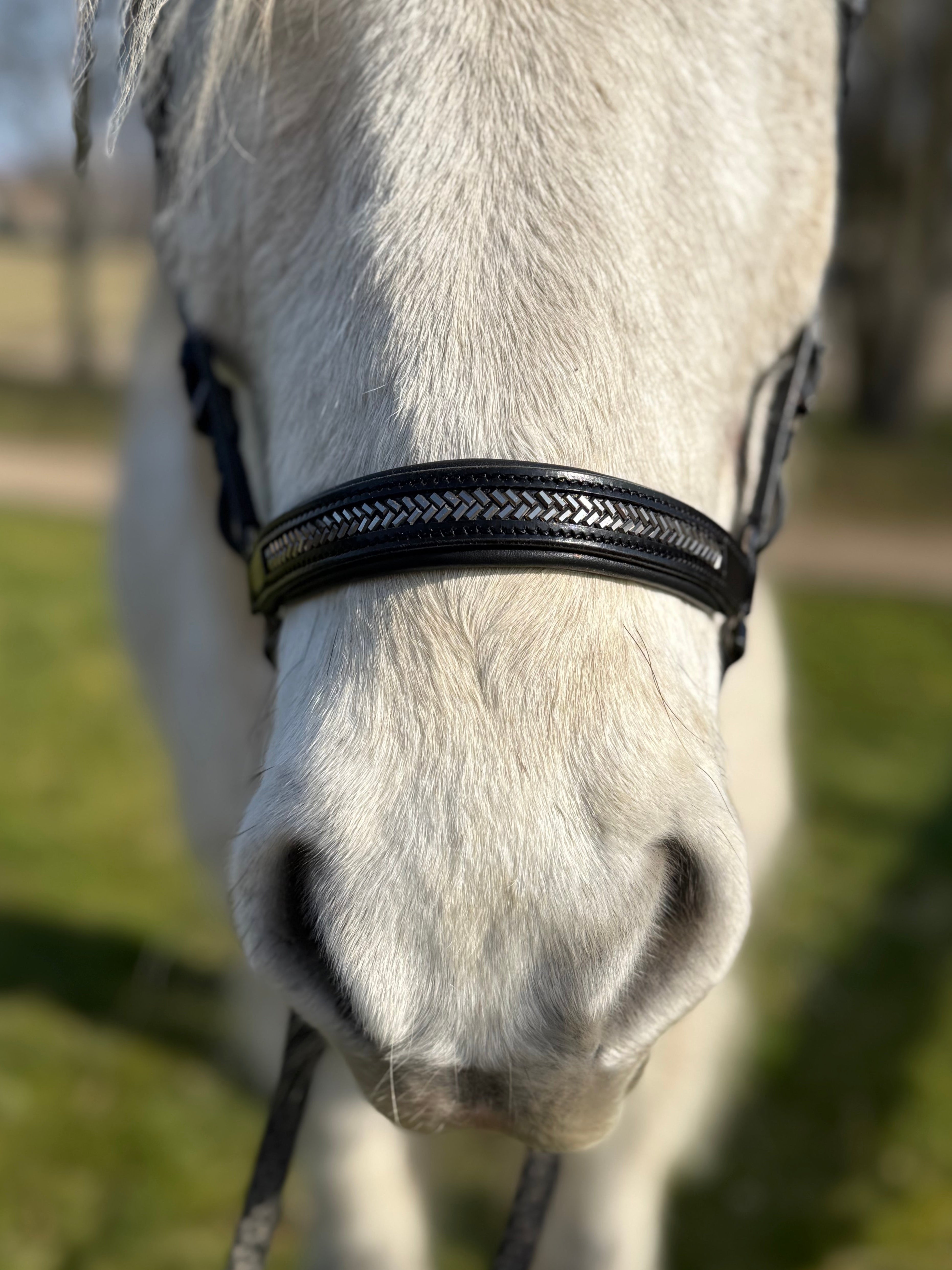 PH deluxe hannoveransk næserem arrow dark grey - Aríus Icehorse Line