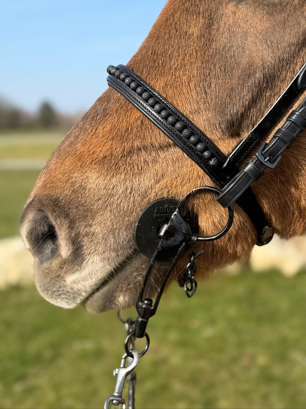 PH deluxe English noseband black lava