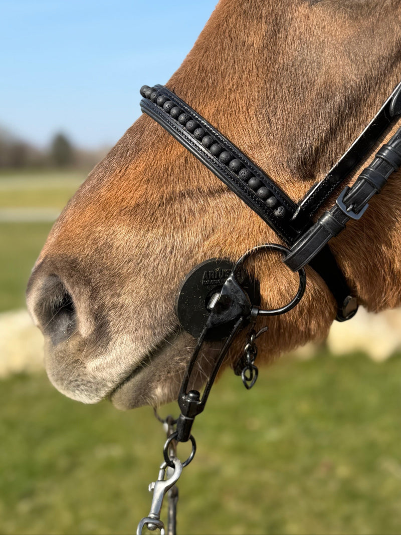 PH deluxe English noseband black lava