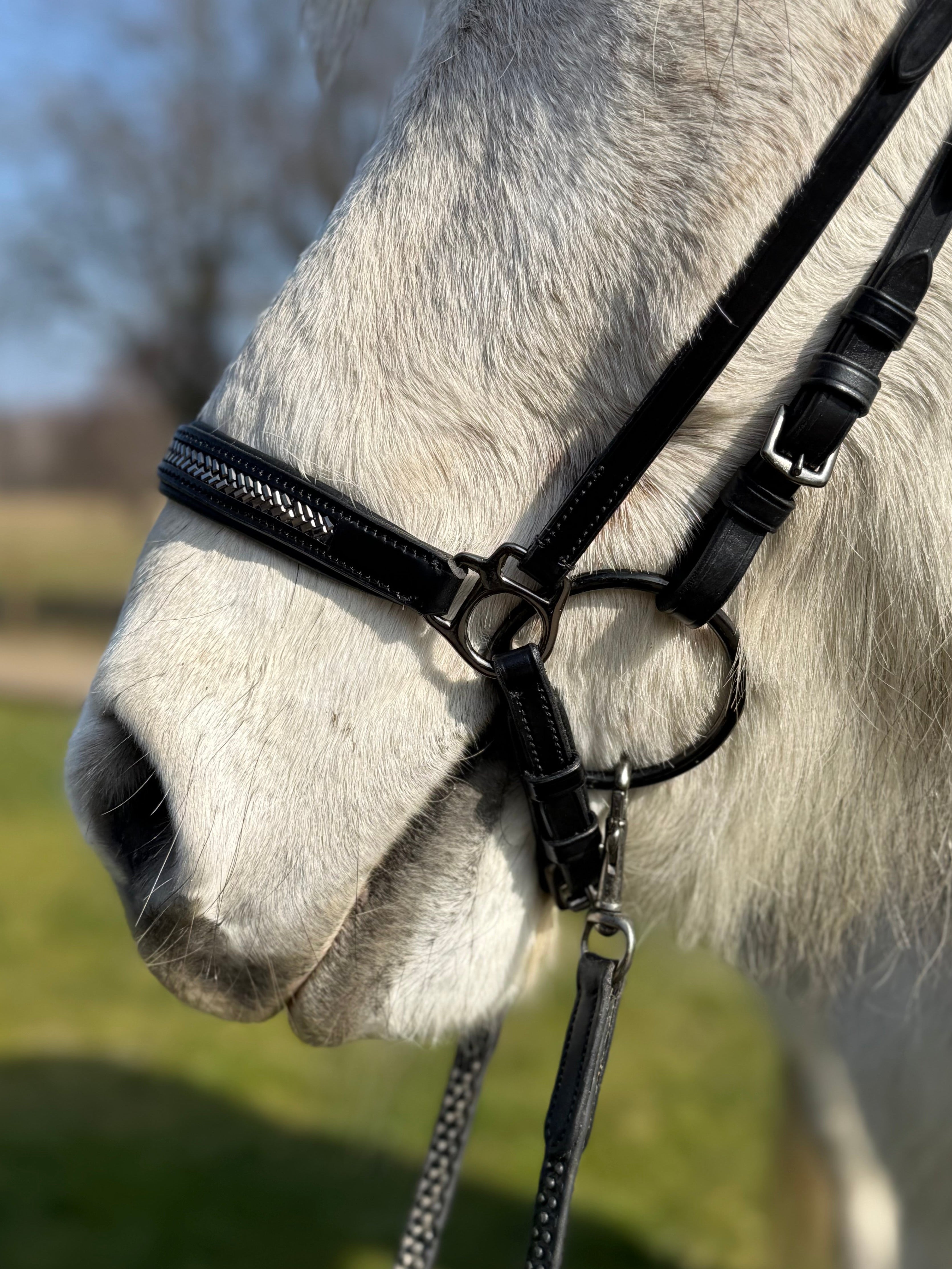PH deluxe hannoveransk næserem arrow dark grey - Aríus Icehorse Line