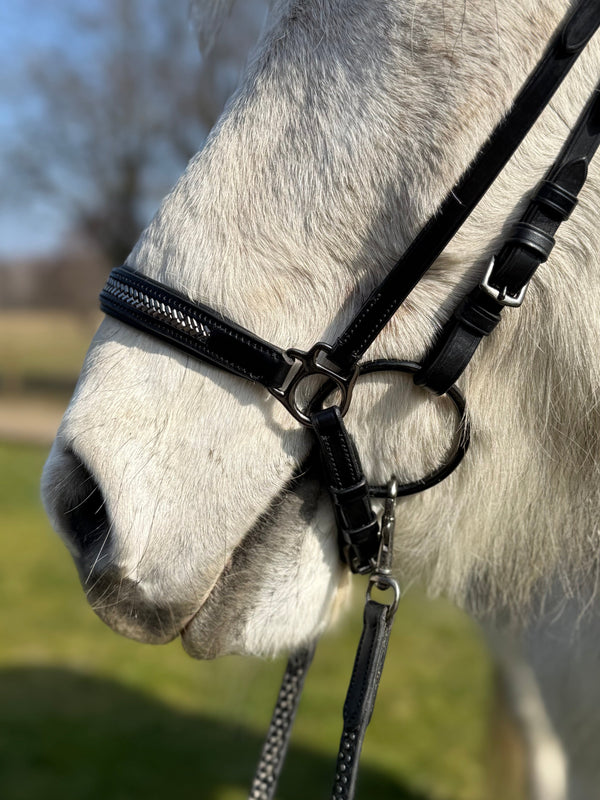 PH deluxe Hannoveranian noseband arrow dark grey