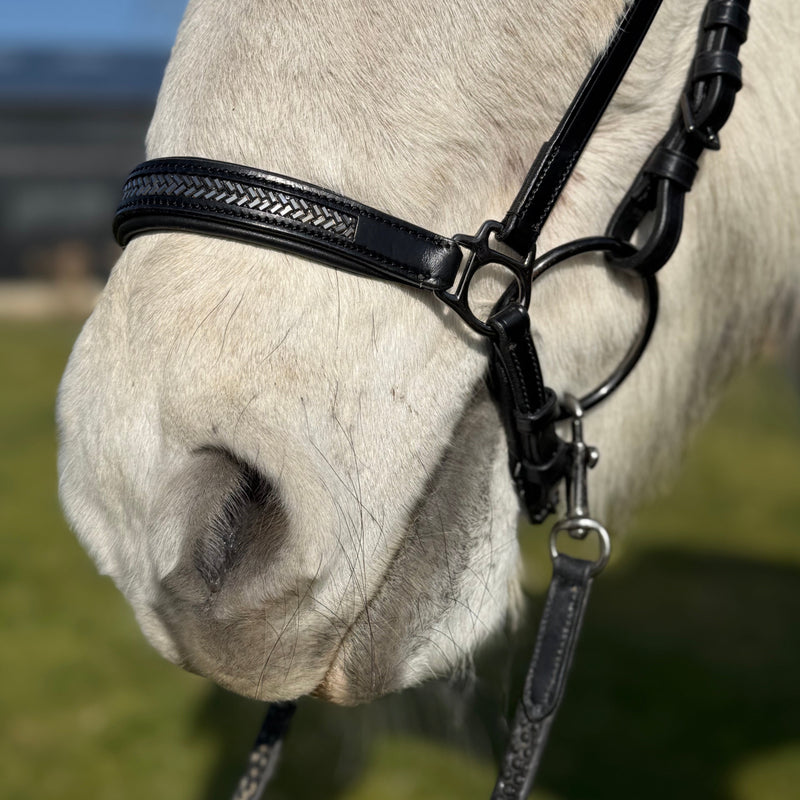 PH deluxe Hannoveranian noseband arrow dark grey