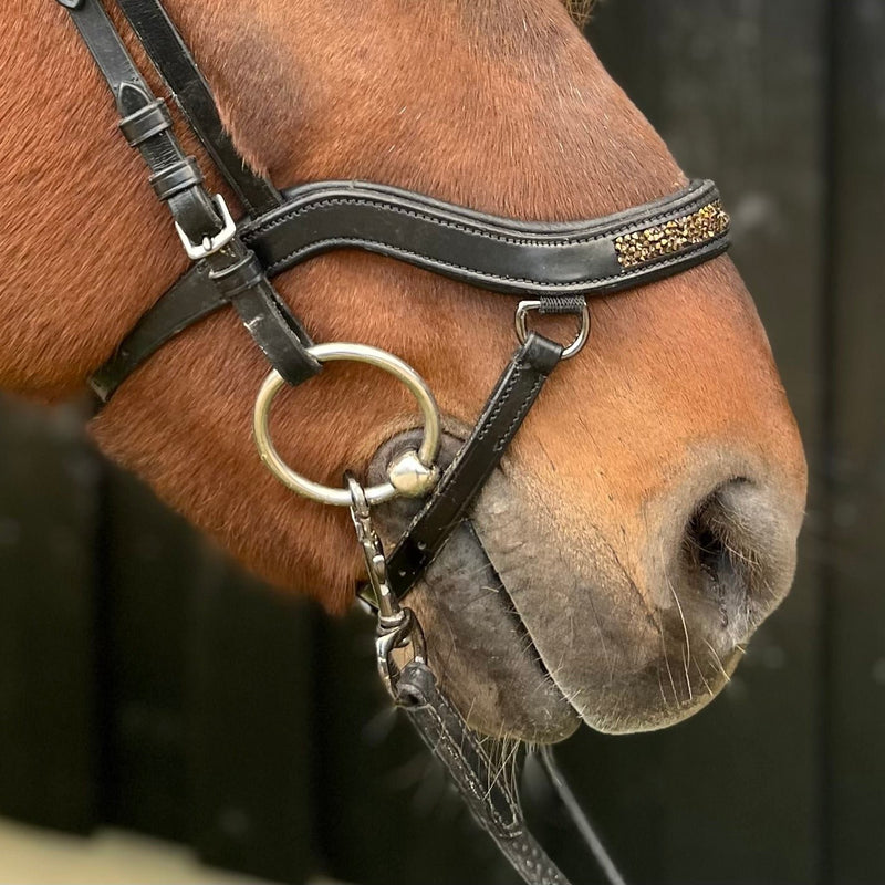 PH deluxe noseband "Anatomic" buckle rock crystal gold