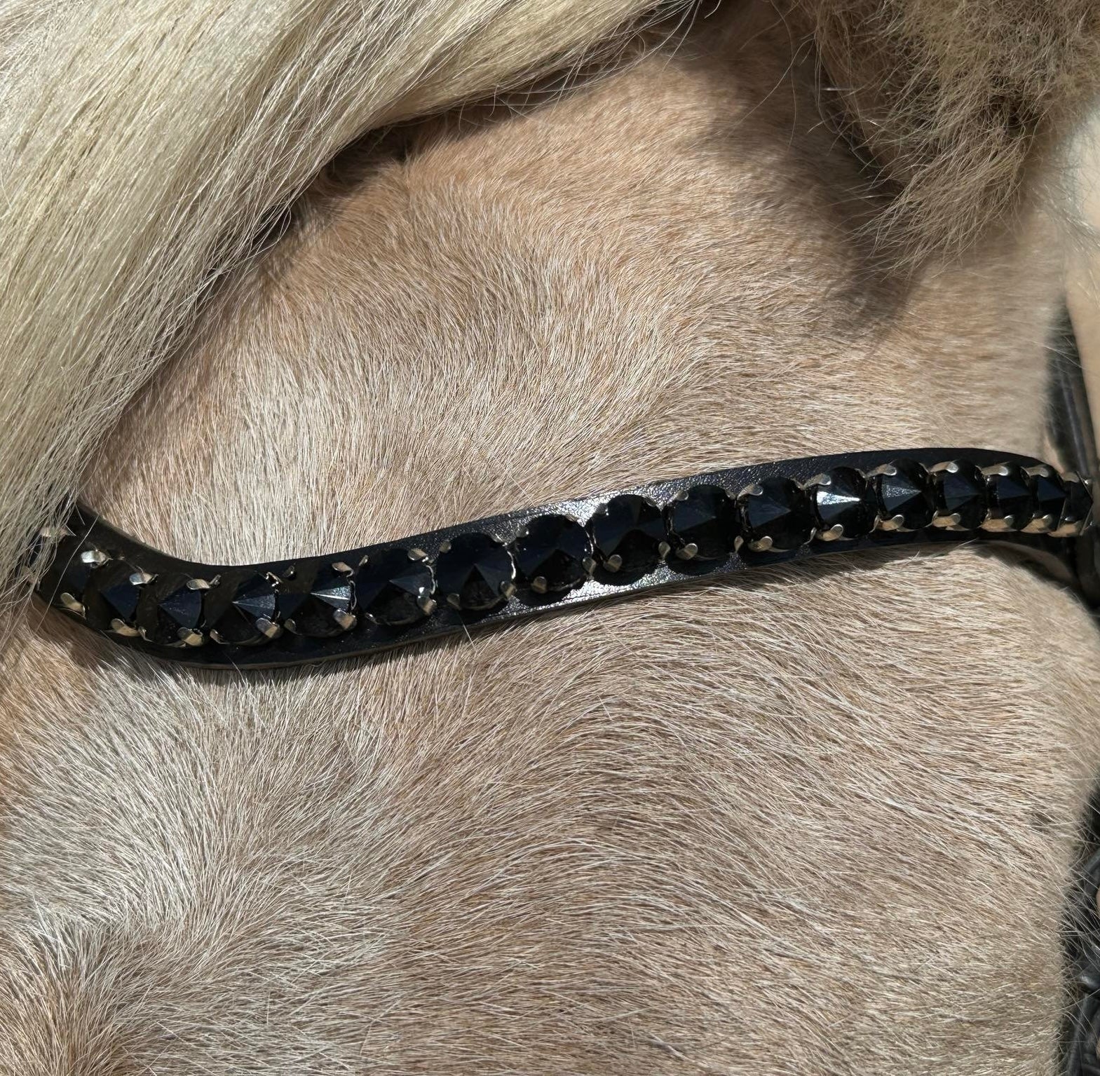 PH deluxe pandebånd “Big diamonds” black - Aríus Icehorse Line