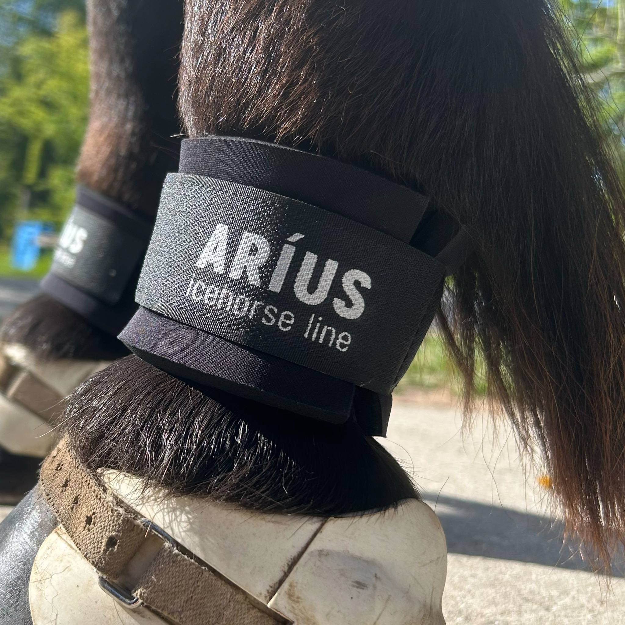 Aríus-Code-Gelenkschutz in Schwarz oder Weiß