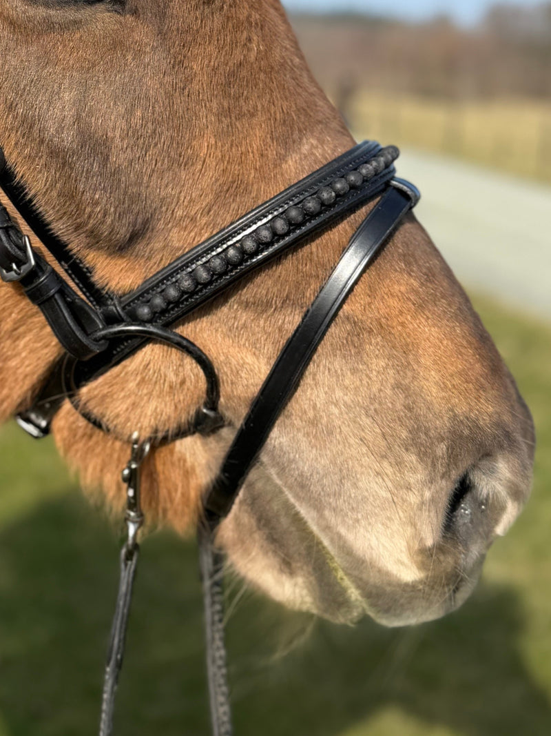 PH deluxe combined noseband black lava