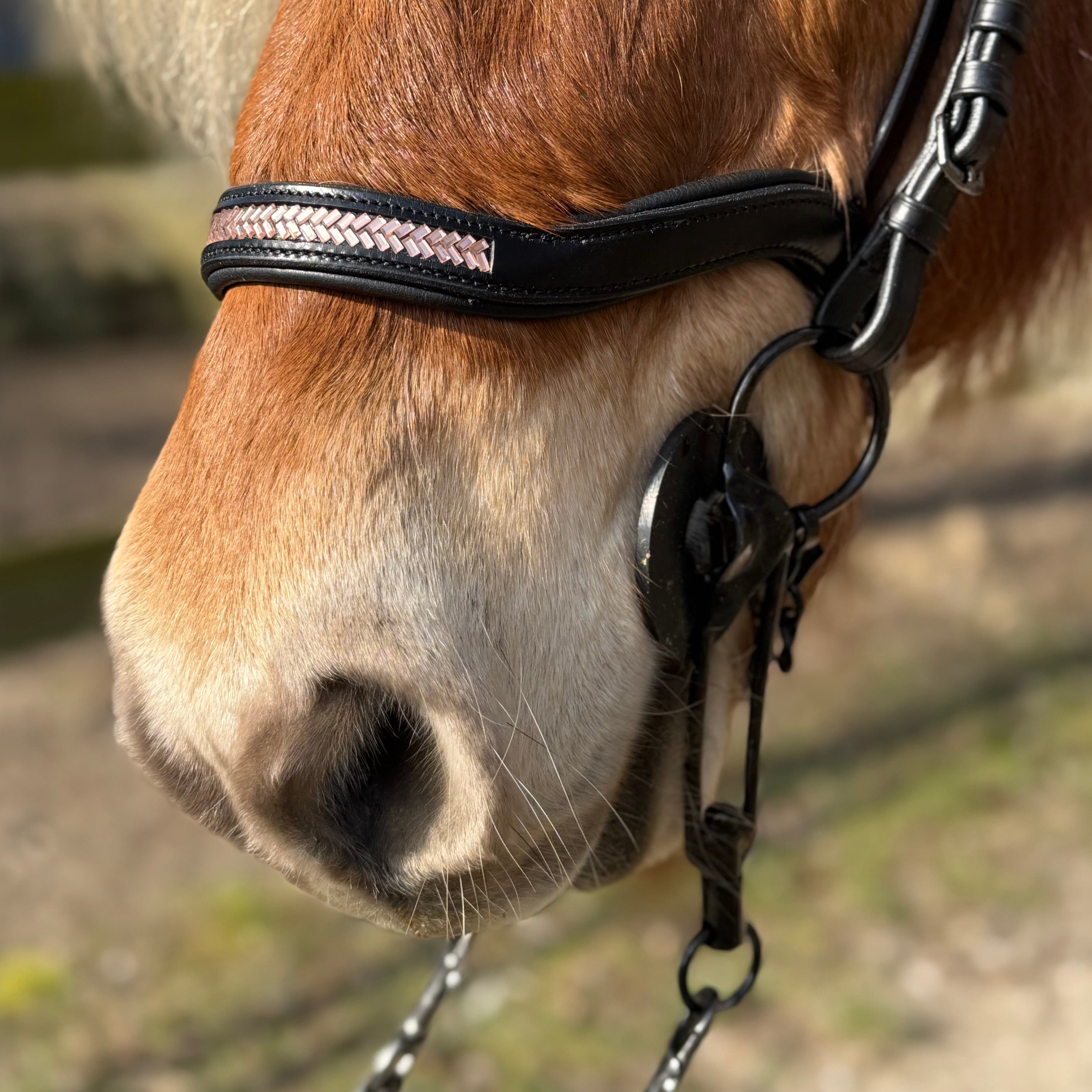 PH deluxe næserem engelsk anatomic arrow rosegold - Aríus Icehorse Line