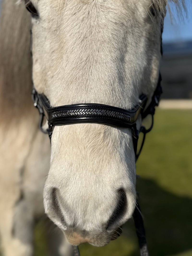 PH deluxe noseband "Anatomic" buckle arrow dark grey