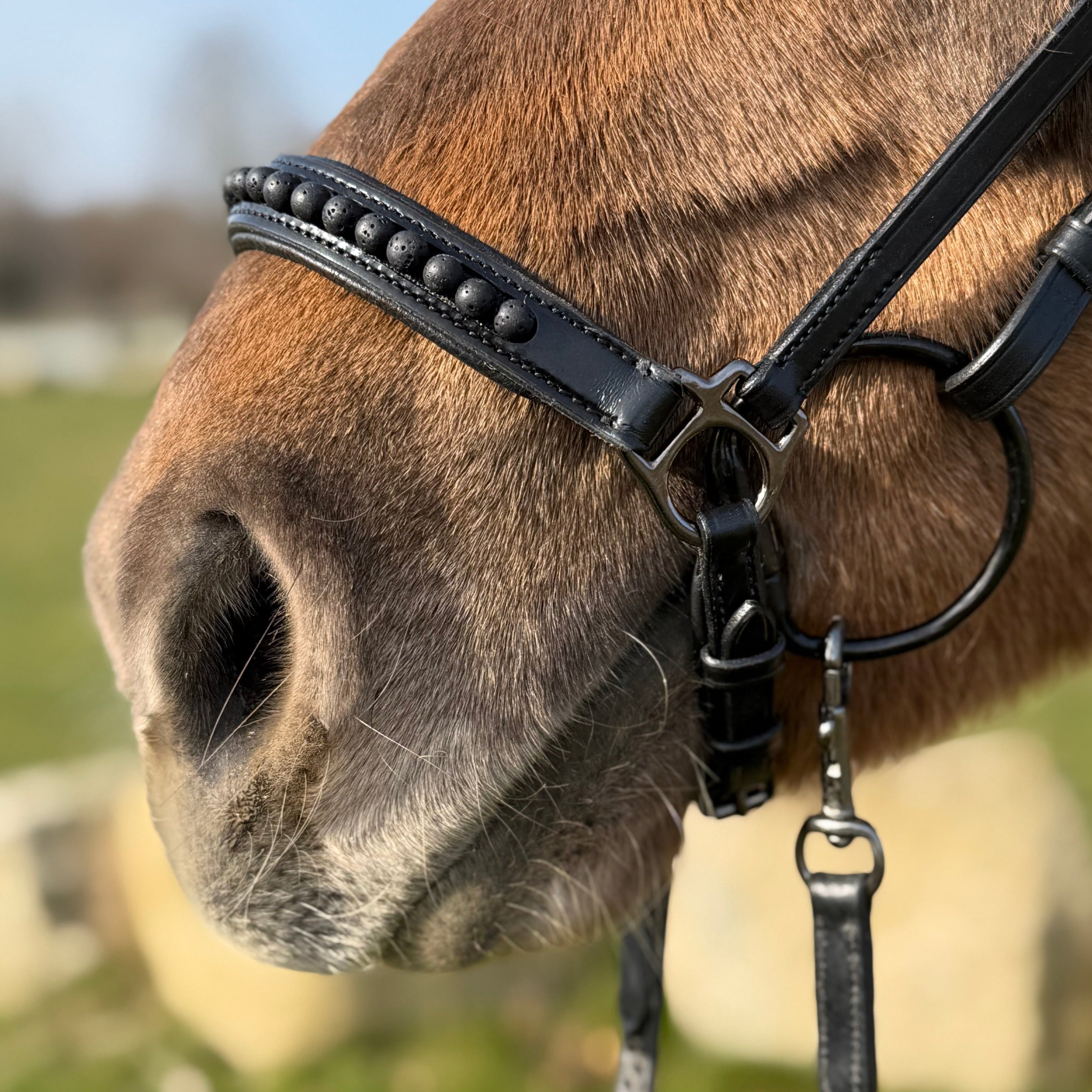 PH deluxe hannoveransk næserem black lava - Aríus Icehorse Line