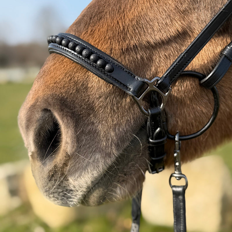 PH deluxe Hannoveranian noseband black lava