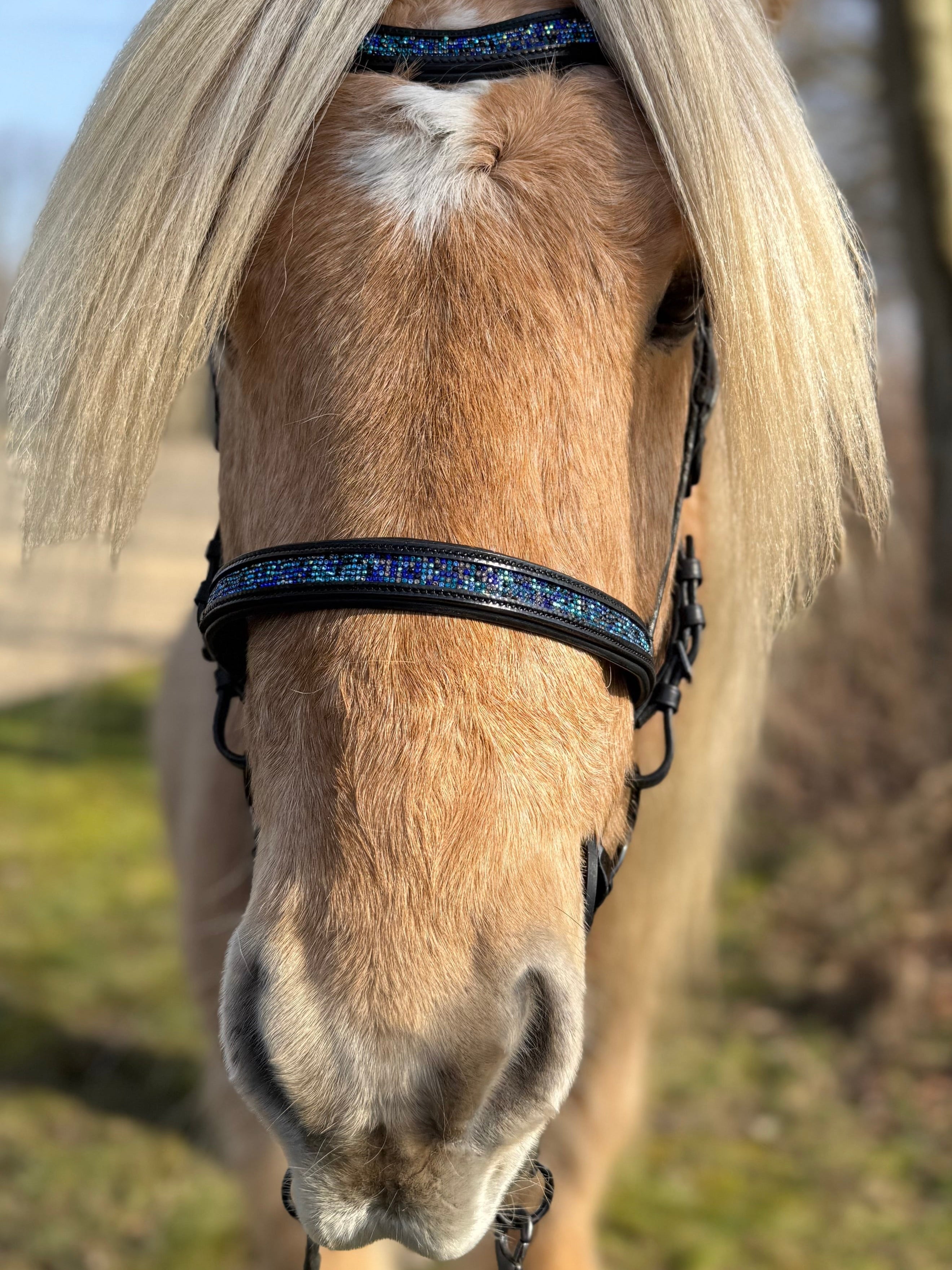 PH deluxe engelsk næserem blue magic - Aríus Icehorse Line