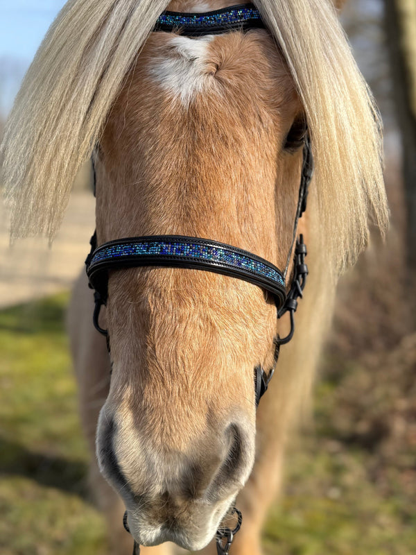 PH deluxe English noseband blue magic