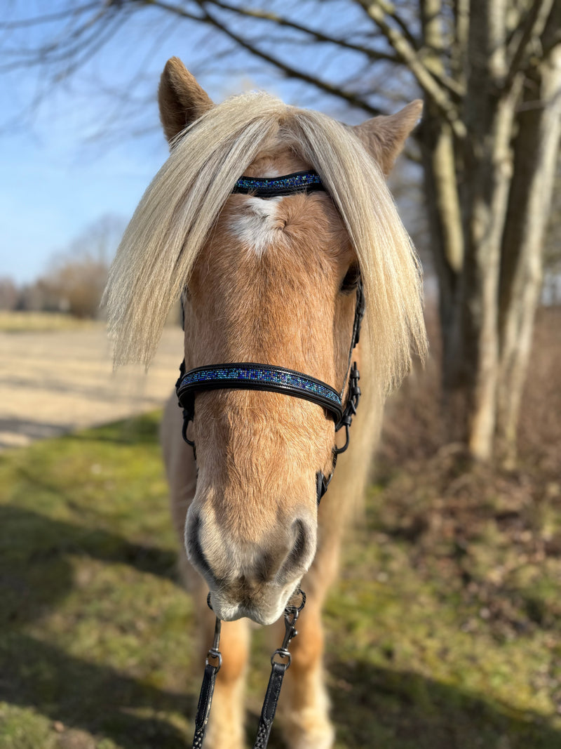 PH deluxe English noseband blue magic