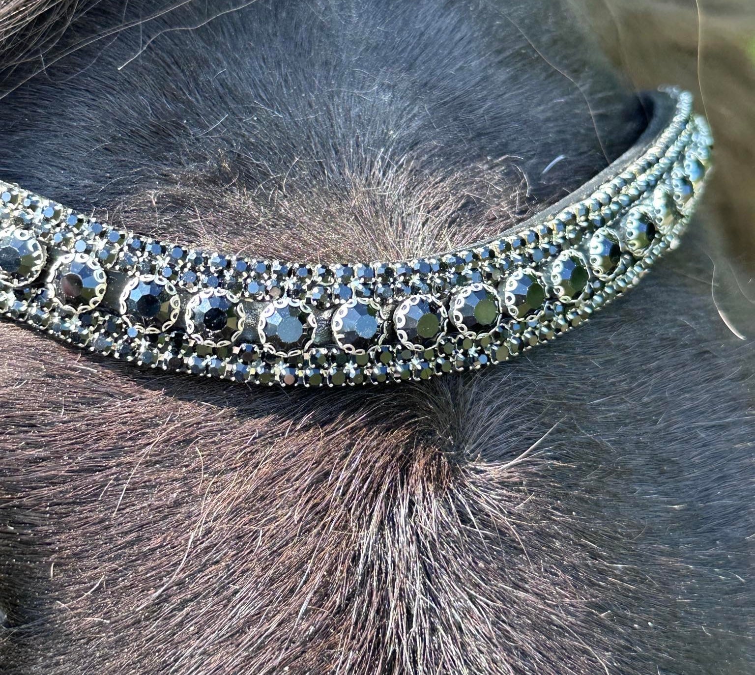 PH deluxe pandebånd brilliant Black - Aríus Icehorse Line