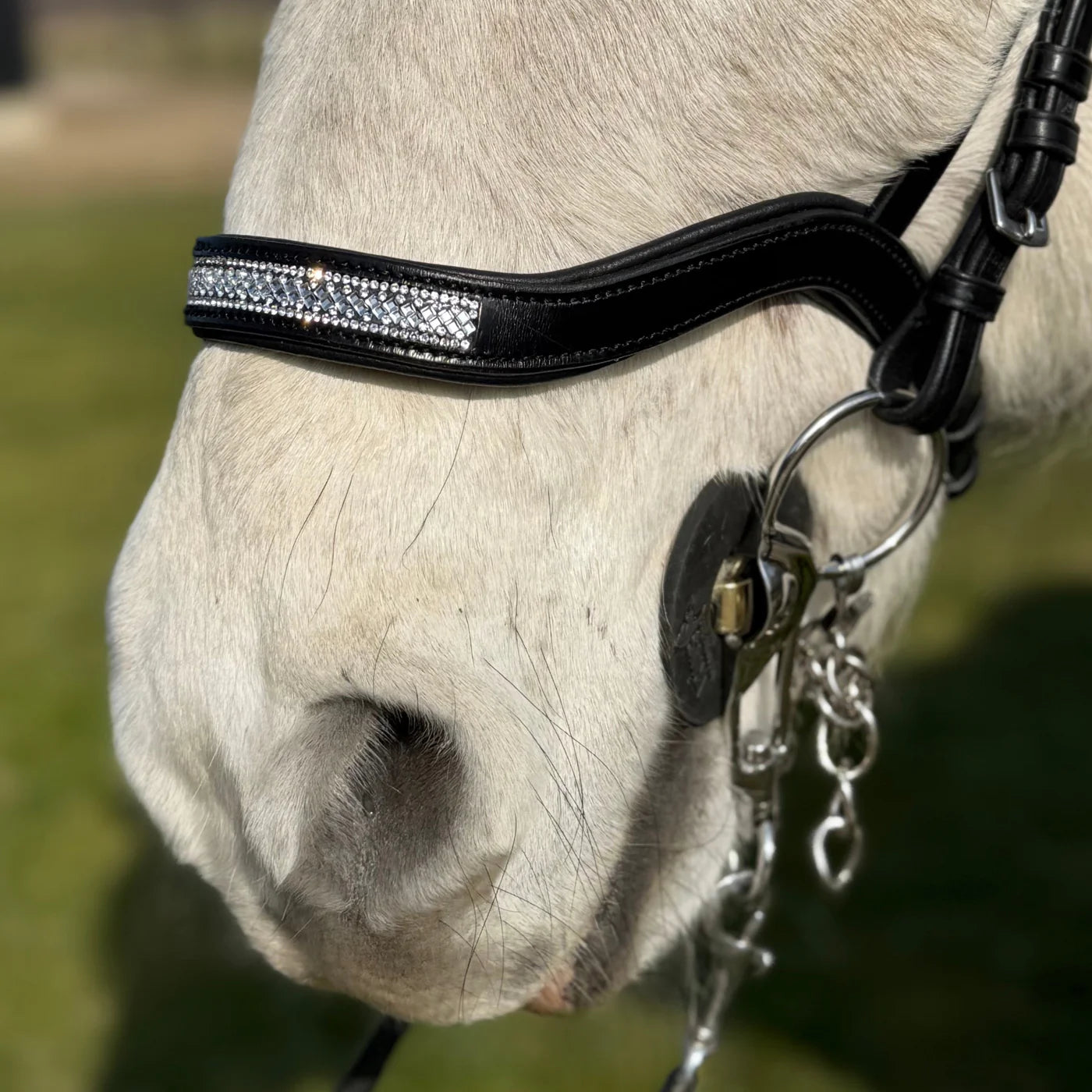 PH deluxe næserem engelsk anatomic glitter - Aríus Icehorse Line