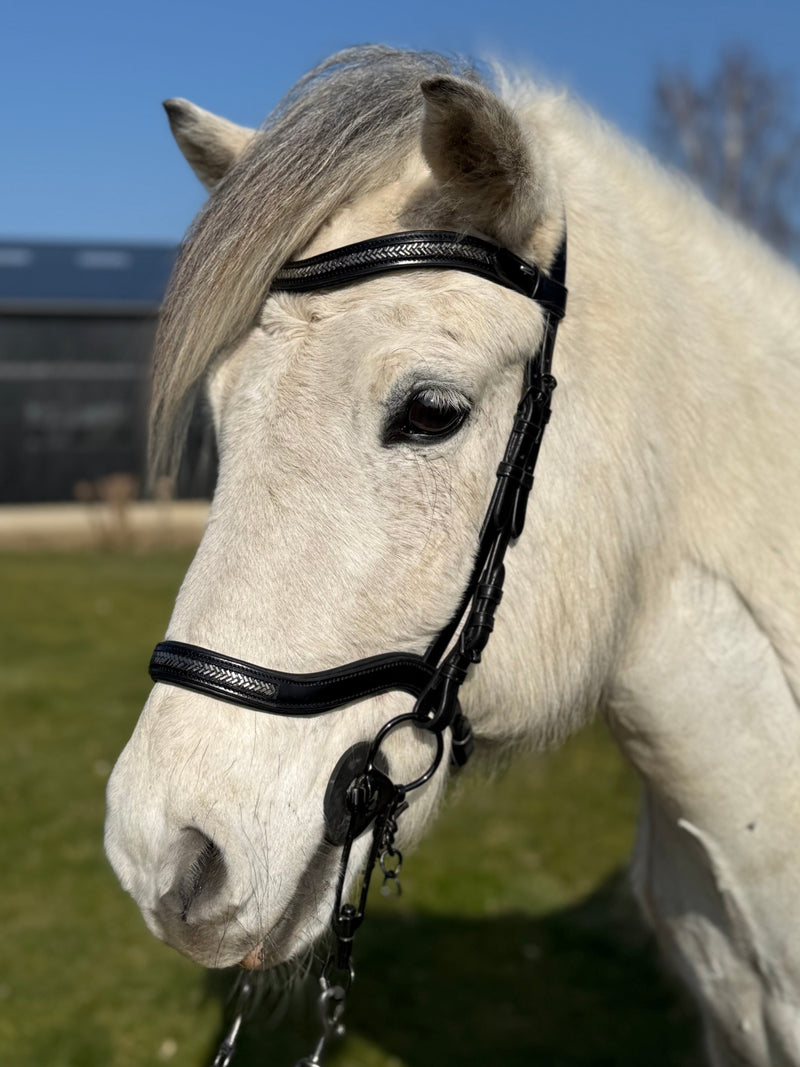 PH deluxe noseband English anatomical arrow dark grey