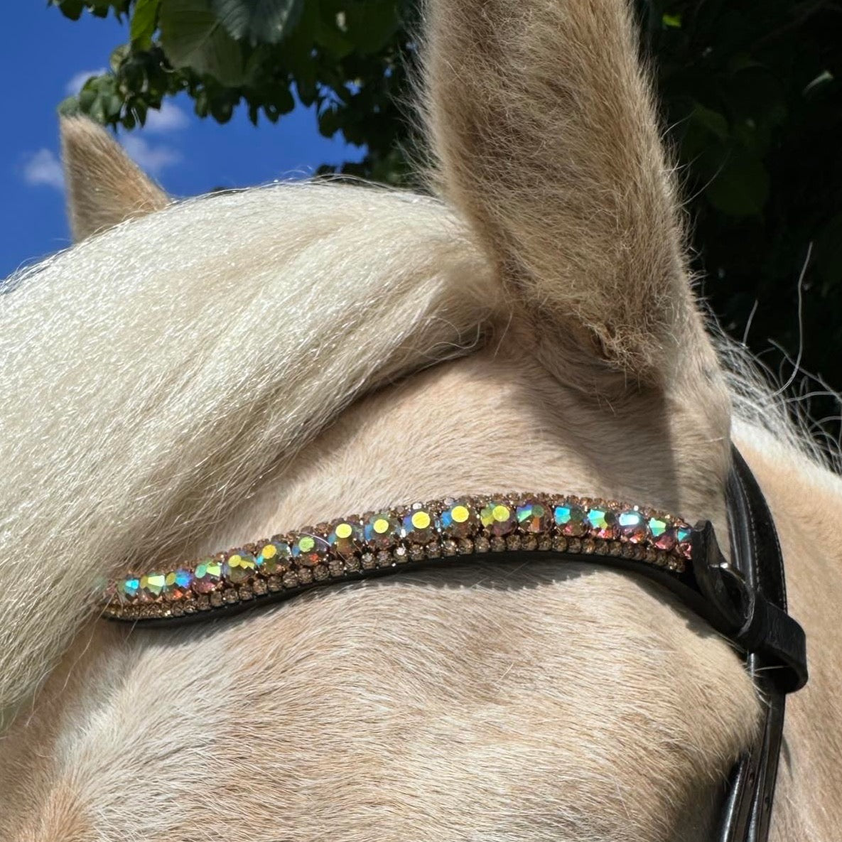 PH deluxe pandebånd diamond 3 rows golden rainbow - Aríus Icehorse Line