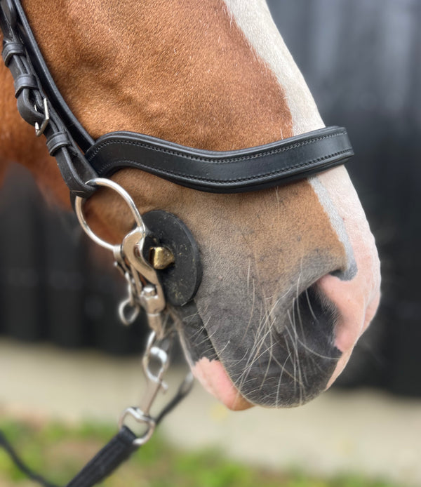 PH deluxe noseband English anatomical