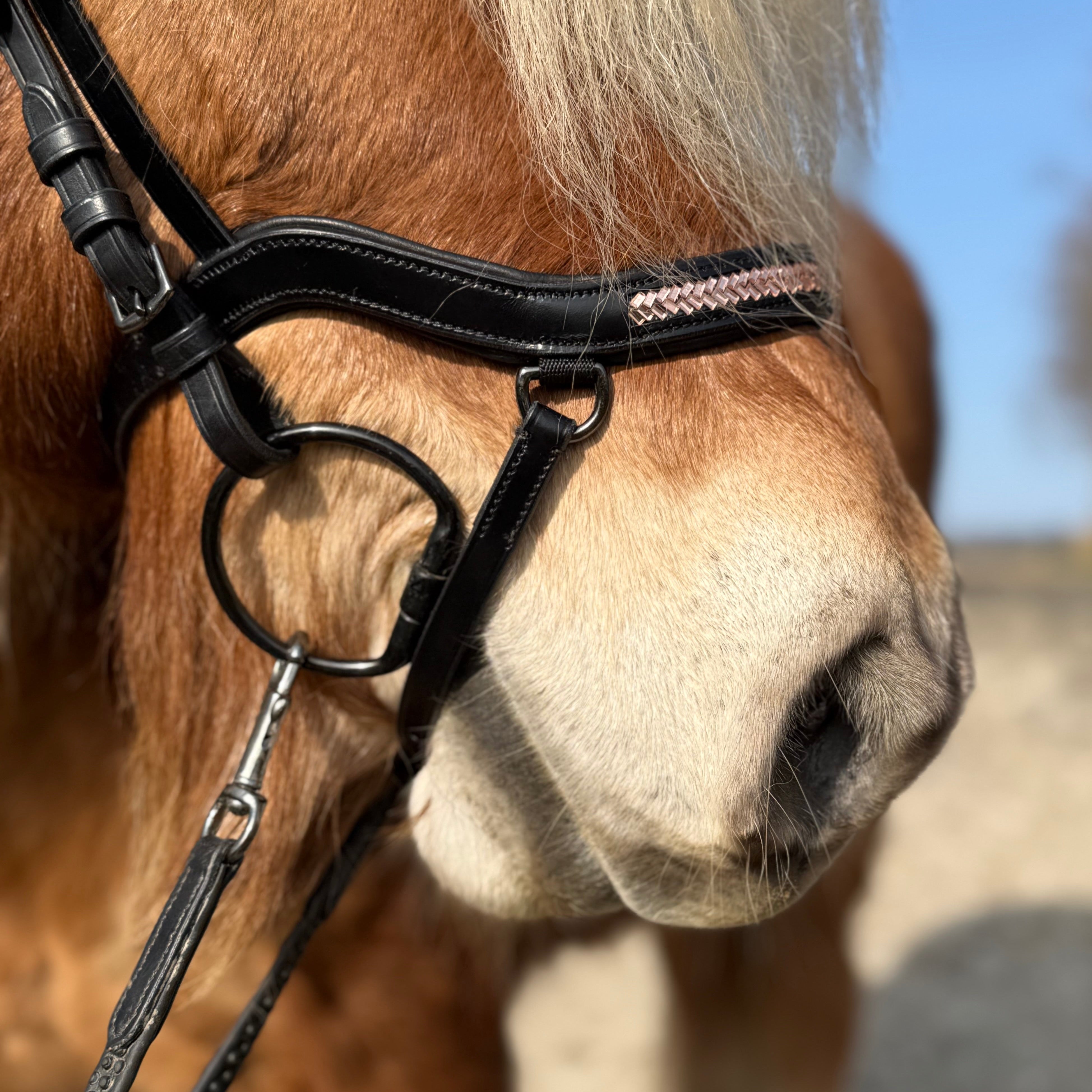 PH deluxe næsebånd "Anatomic" buckle arrow rosegold - Aríus Icehorse Line