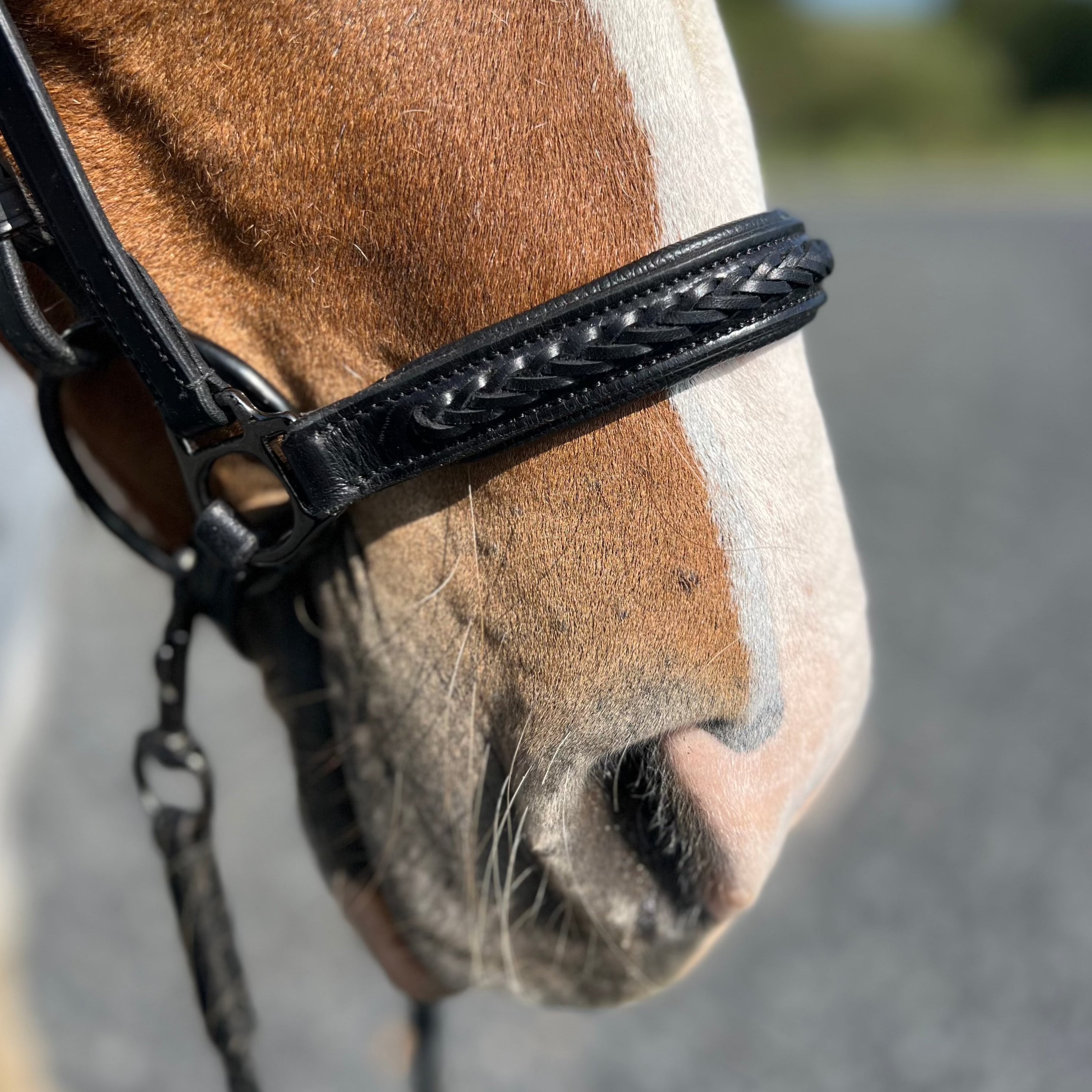 PH deluxe hannoveransk næserem braid exclusive - Aríus Icehorse Line