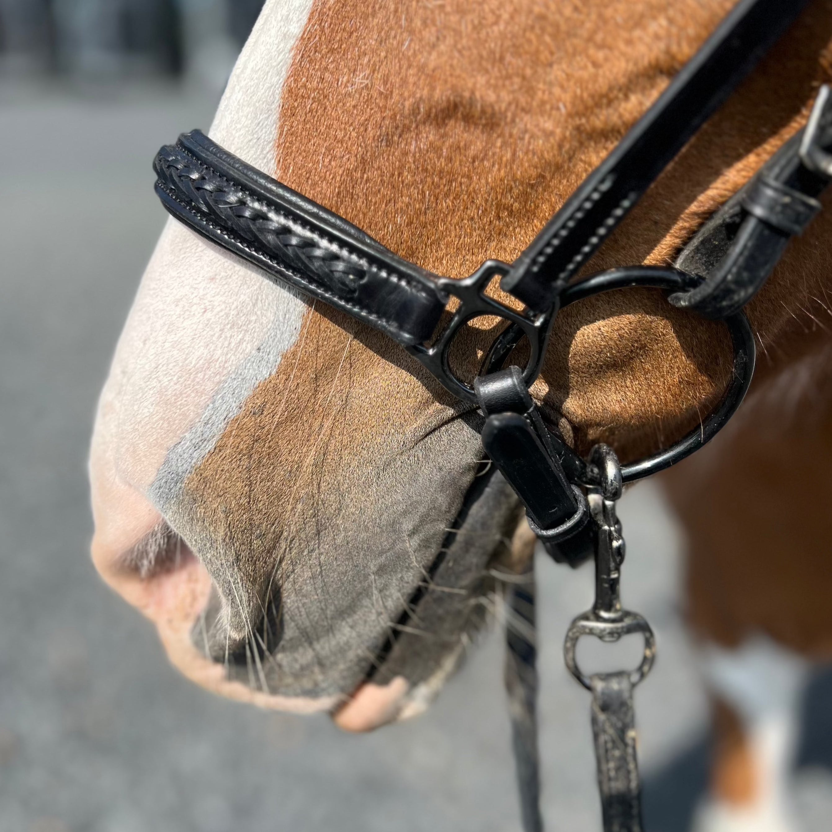 PH deluxe hannoveransk næserem braid exclusive - Aríus Icehorse Line