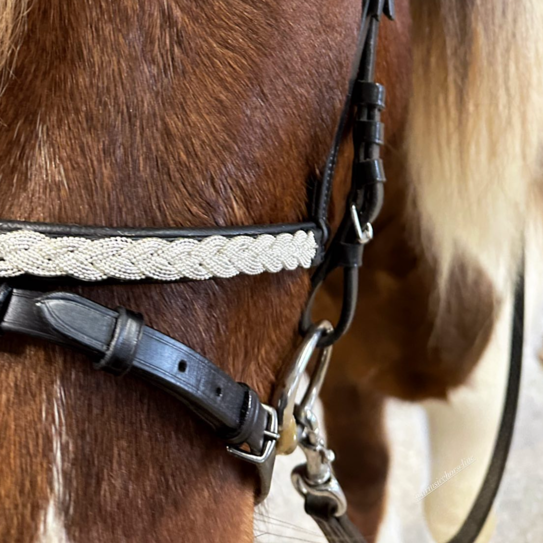 PH deluxe kombineret næserem silver braid - Aríus Icehorse Line
