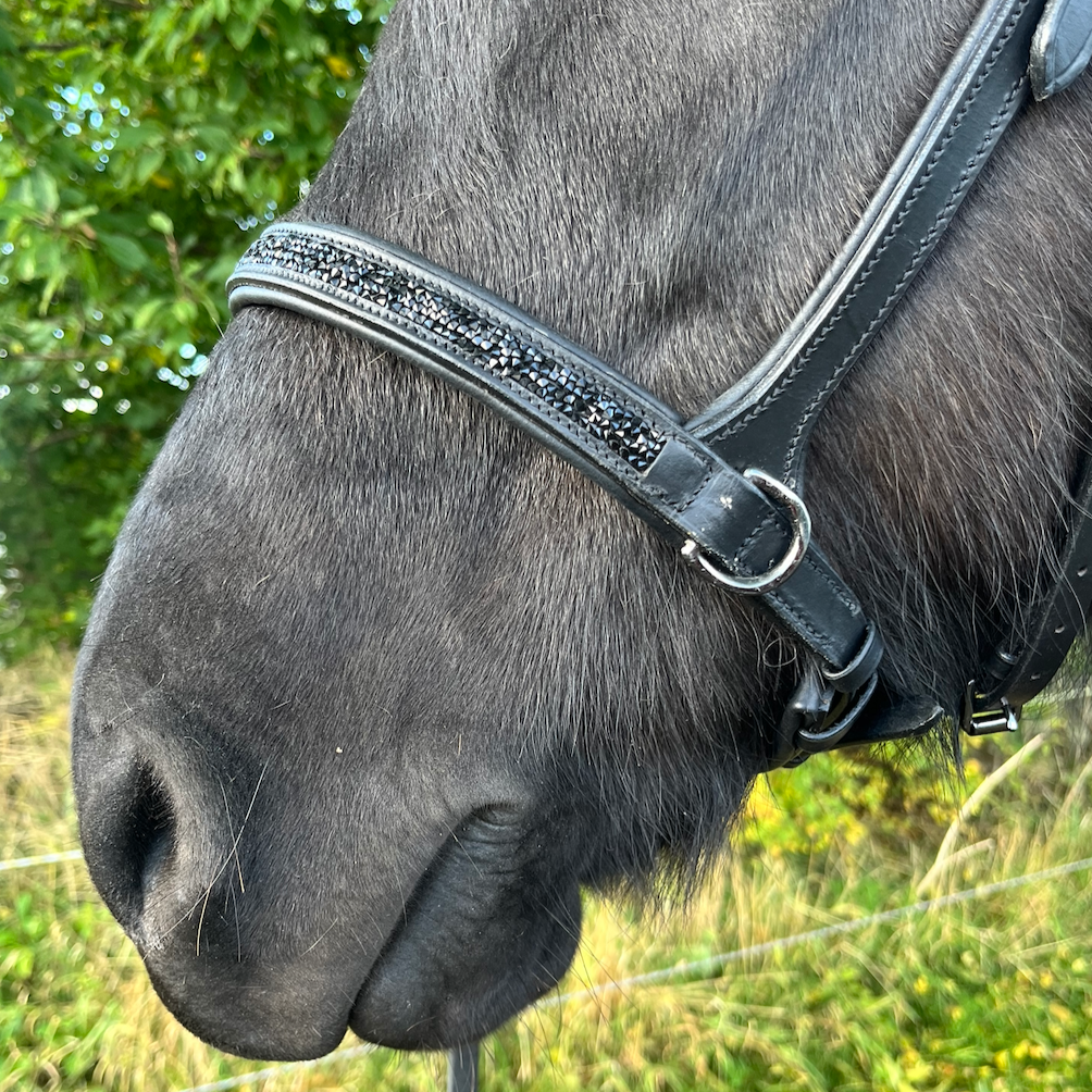 PH bidløs trense rockcrystal black - Aríus Icehorse Line