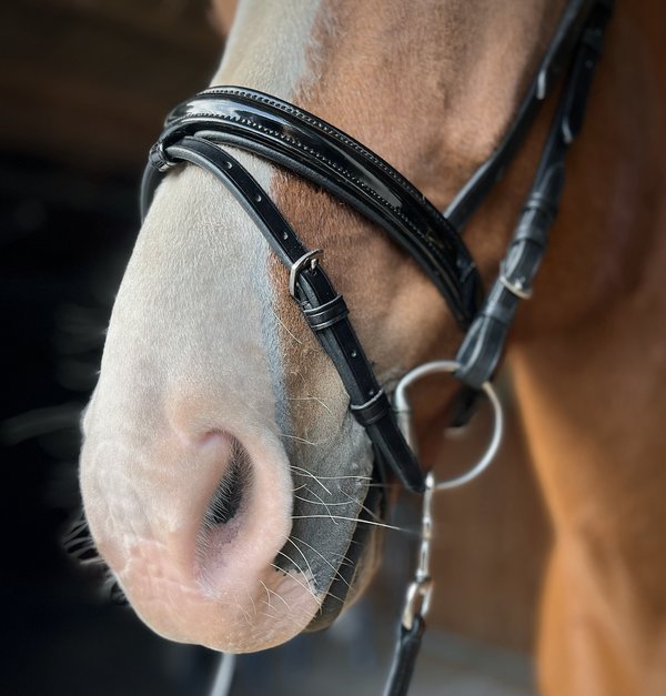 PH deluxe noseband combined shine