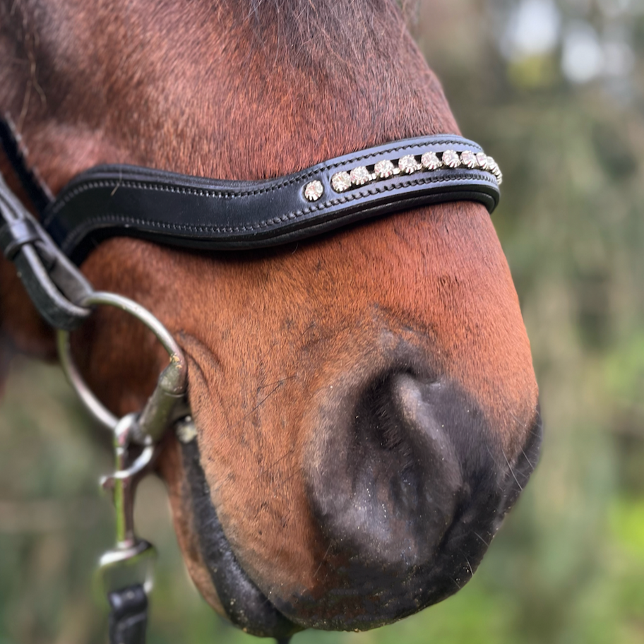 PH deluxe næserem engelsk anatomic “diamond white” - Aríus Icehorse Line