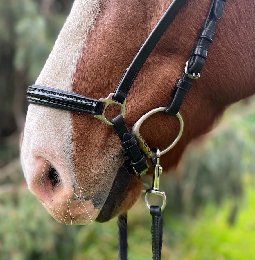 PH deluxe næsebånd hannoveransk shine Black - Aríus Icehorse Line