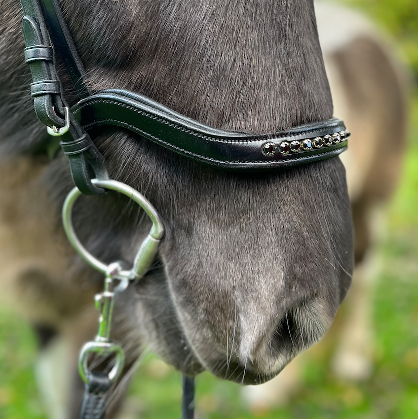 PH deluxe næserem engelsk anatomic “diamond black” - Aríus Icehorse Line