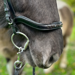 PH deluxe noseband English anatomical "diamond black"