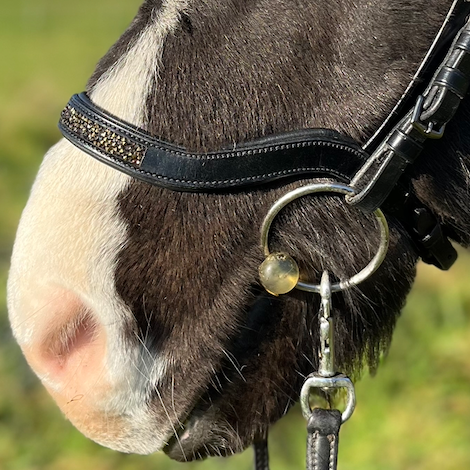 PH deluxe næserem engelsk anatomic rockcrystal gold - Aríus Icehorse Line