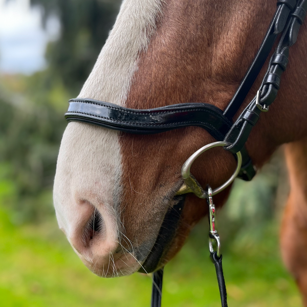 PH deluxe nose strap English anatomic shine